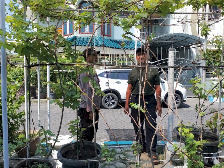 Bhabinkamtibmas Sambangi Warga Penggerak Ketahanan Pangan di Kecamatan Sedati